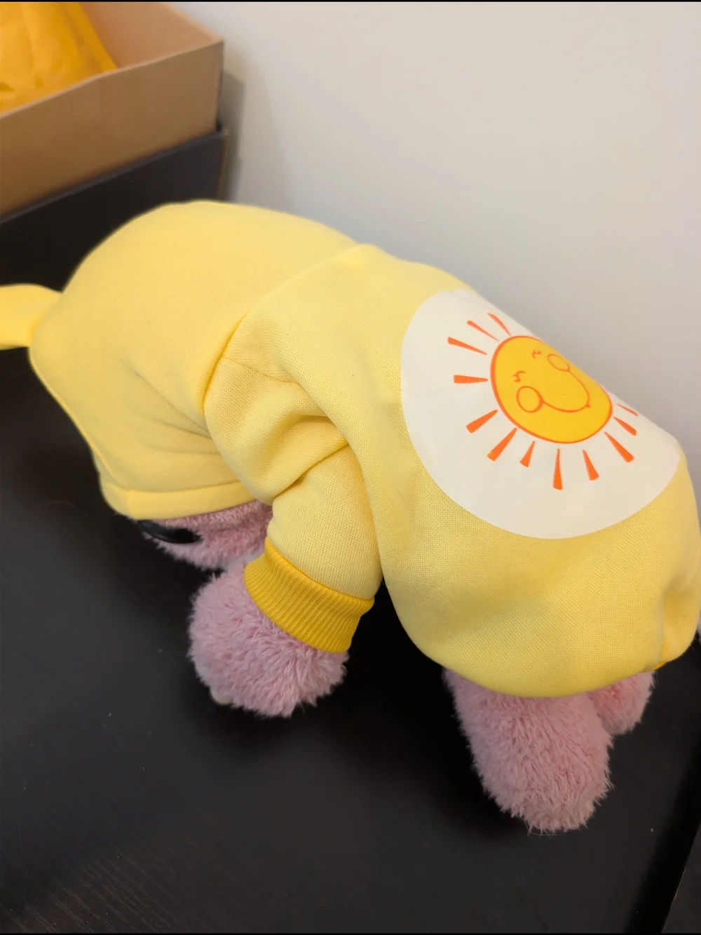 Care Bears Pet hoodie costume Funshine size small